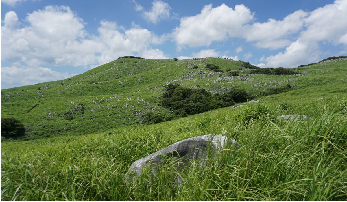 プライベート庭